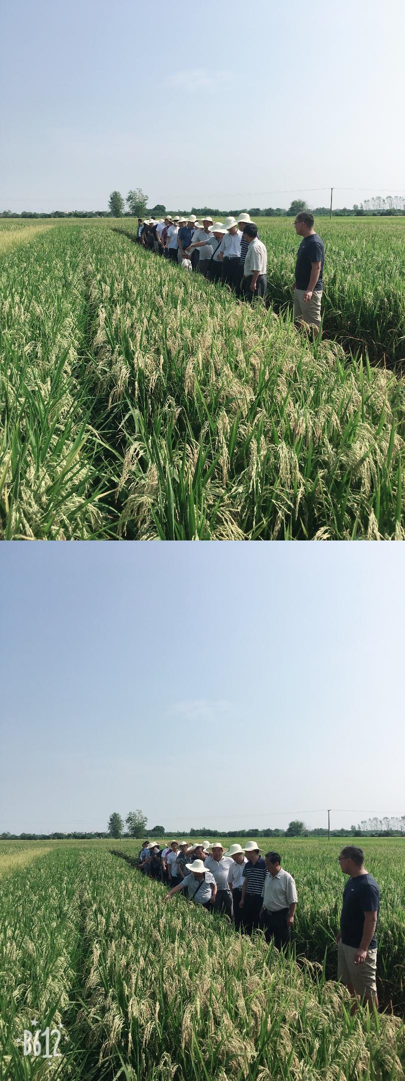 黃陂區(qū)科技局最新招聘信息與行業(yè)趨勢(shì)深度解析