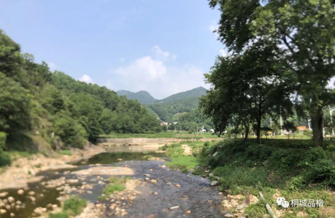 雪崗村最新新聞