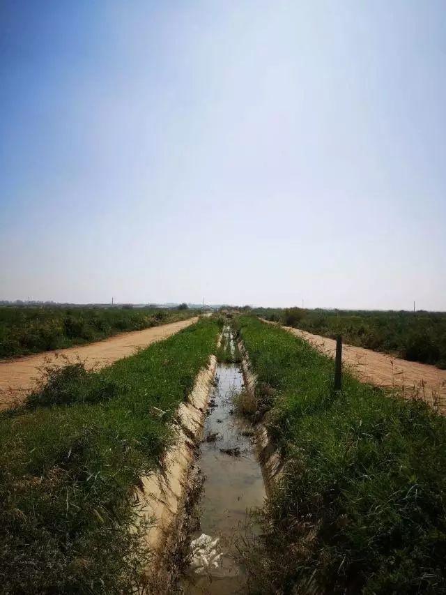 民勤縣住房和城鄉(xiāng)建設(shè)局最新發(fā)展規(guī)劃