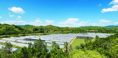 付營子鄉(xiāng)最新項目