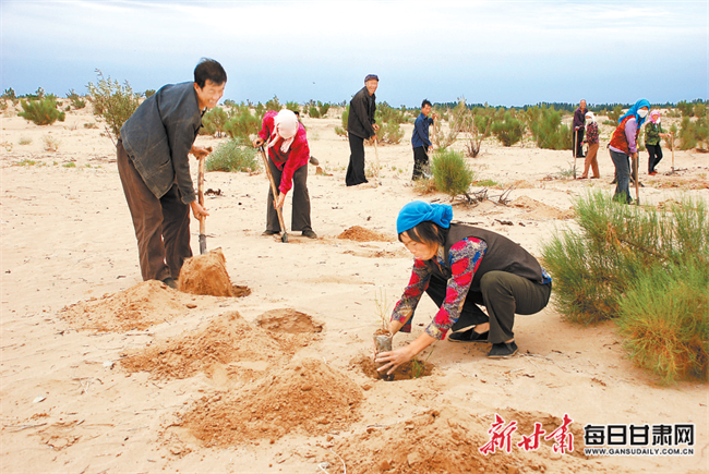 石羊河林业总场大滩分场最新发展规划