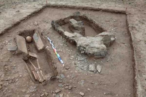 札達(dá)縣農(nóng)業(yè)農(nóng)村局最新領(lǐng)導(dǎo)