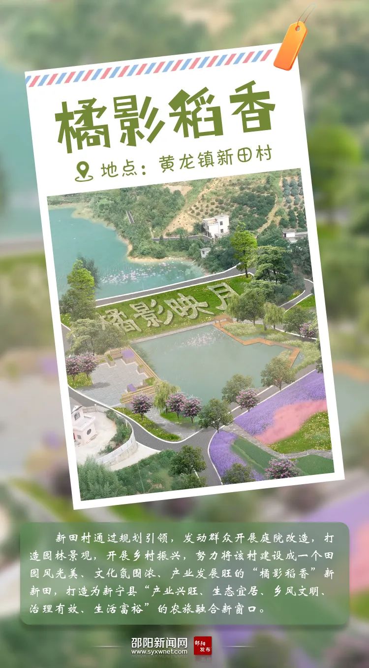魚鱗村最新項目