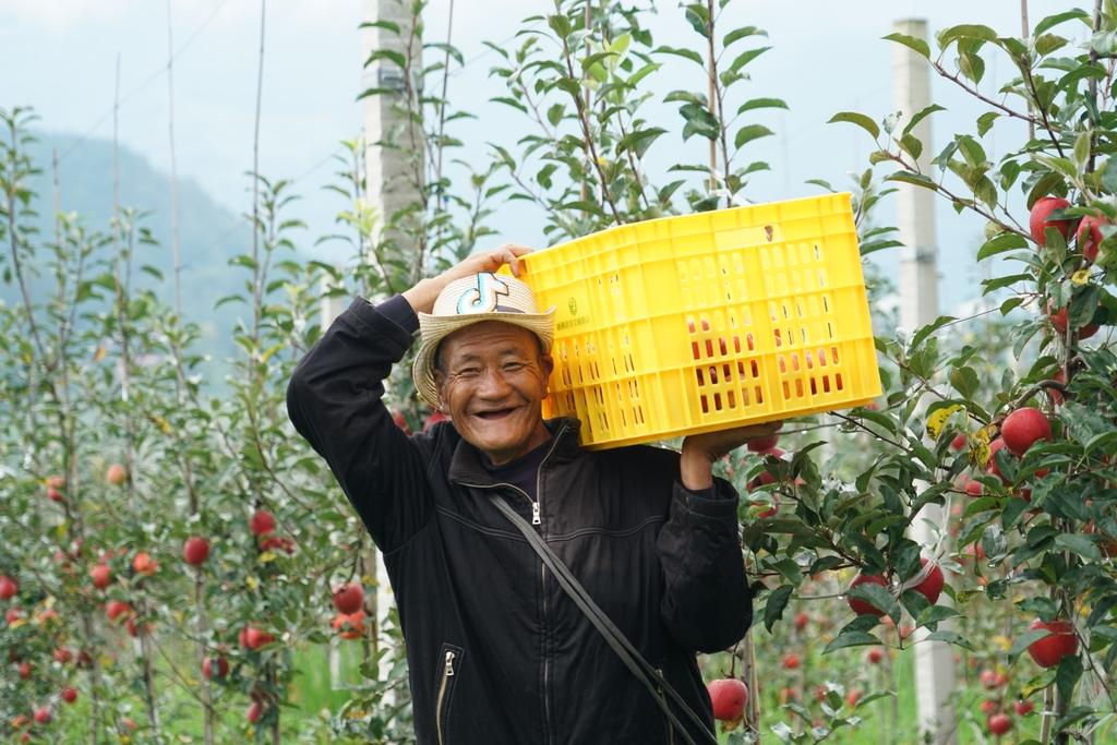 越西縣數(shù)據(jù)和政務(wù)服務(wù)局最新領(lǐng)導(dǎo)