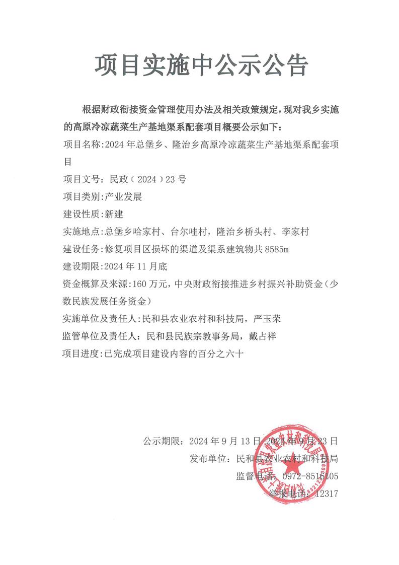 集龙乡最新项目