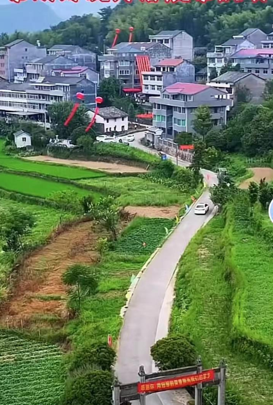 婷潔 第4頁