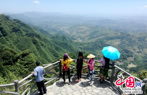 順利河林場最新項目