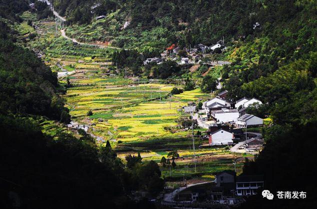 鳳陽畬族鄉(xiāng)最新交通新聞