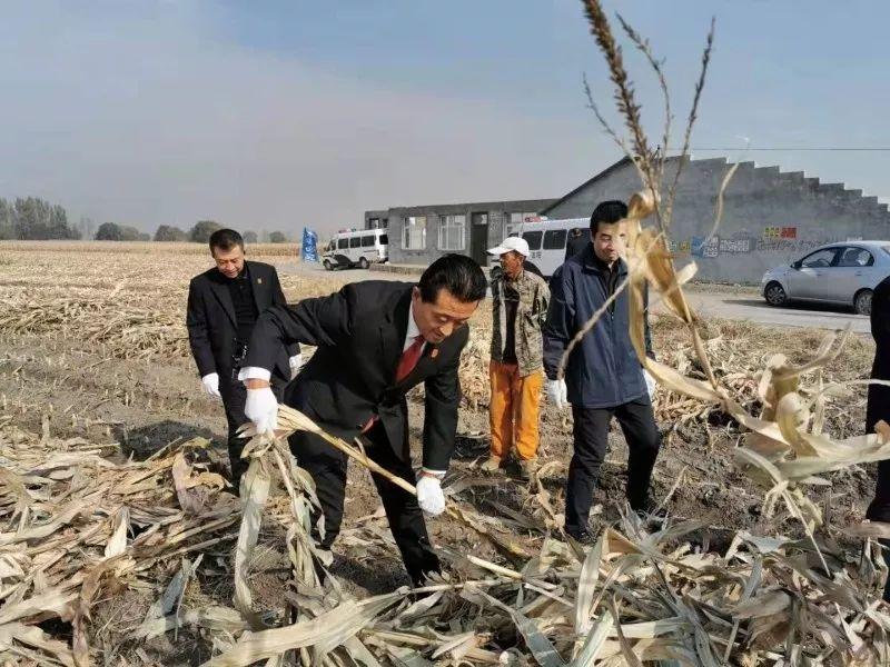 道外區(qū)特殊教育事業(yè)單位等最新招聘信息