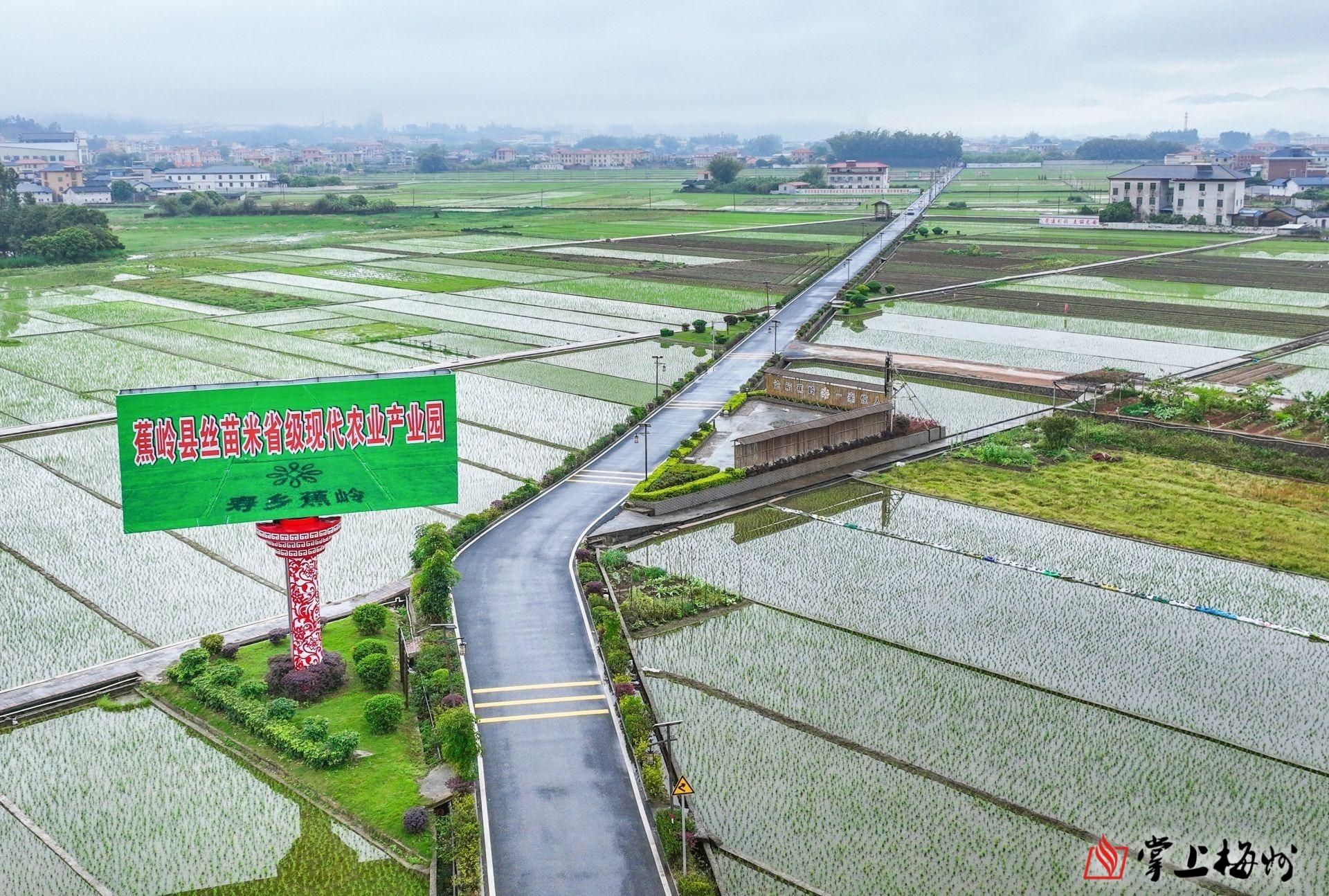 建豐村最新新聞