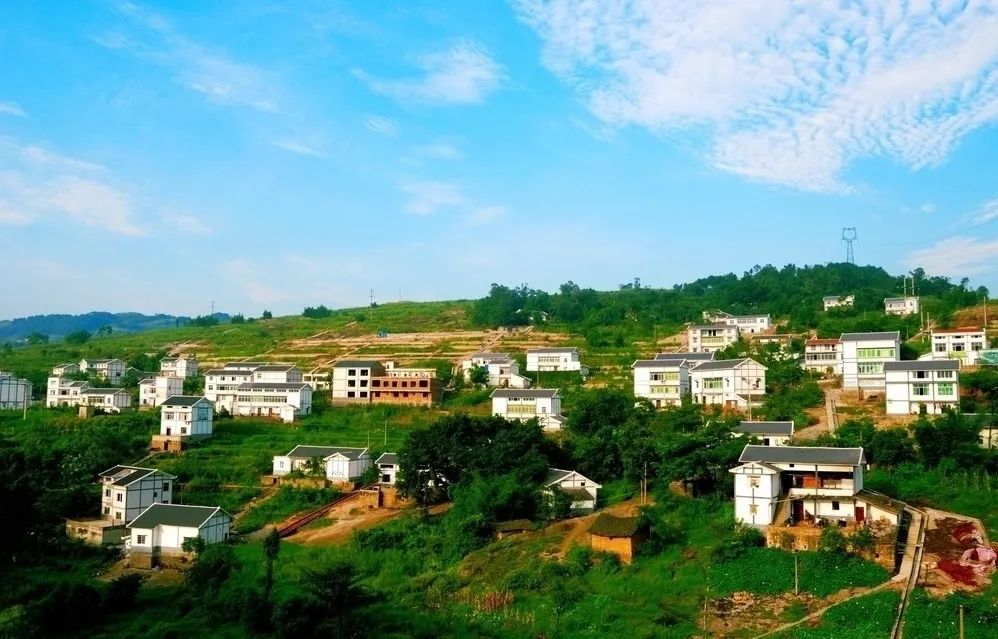 仁真都村最新交通新聞