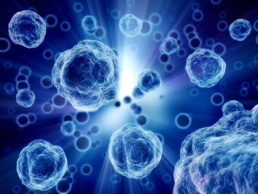 全國最新冠狀病毒病例確診詳解，全面理解，積極應(yīng)對(duì)