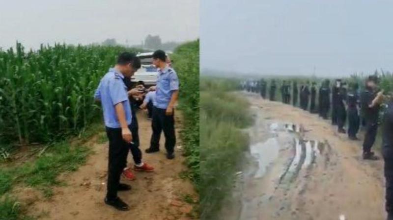 世安白 第3頁