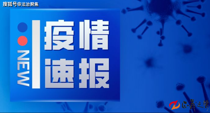 全球共同抗击新冠疫情的挑战与最新进展报告