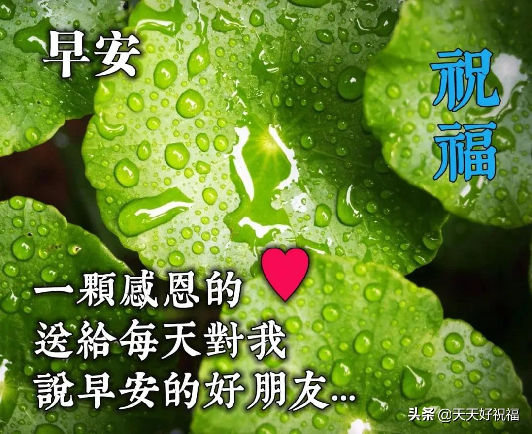 最新早安朋友圈句子，點(diǎn)燃一天的勵(lì)志與希望之光