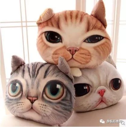 路衛(wèi) 第3頁(yè)