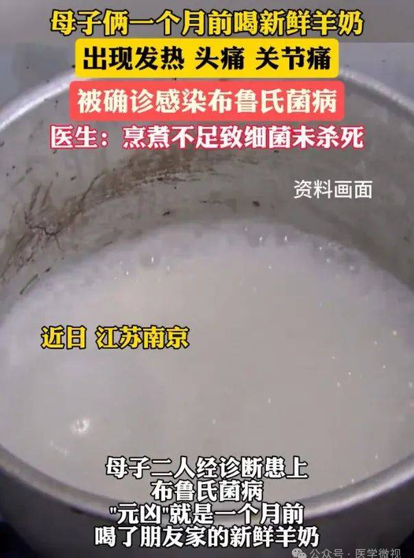 布病研究、防控與治療進展最新消息匯總
