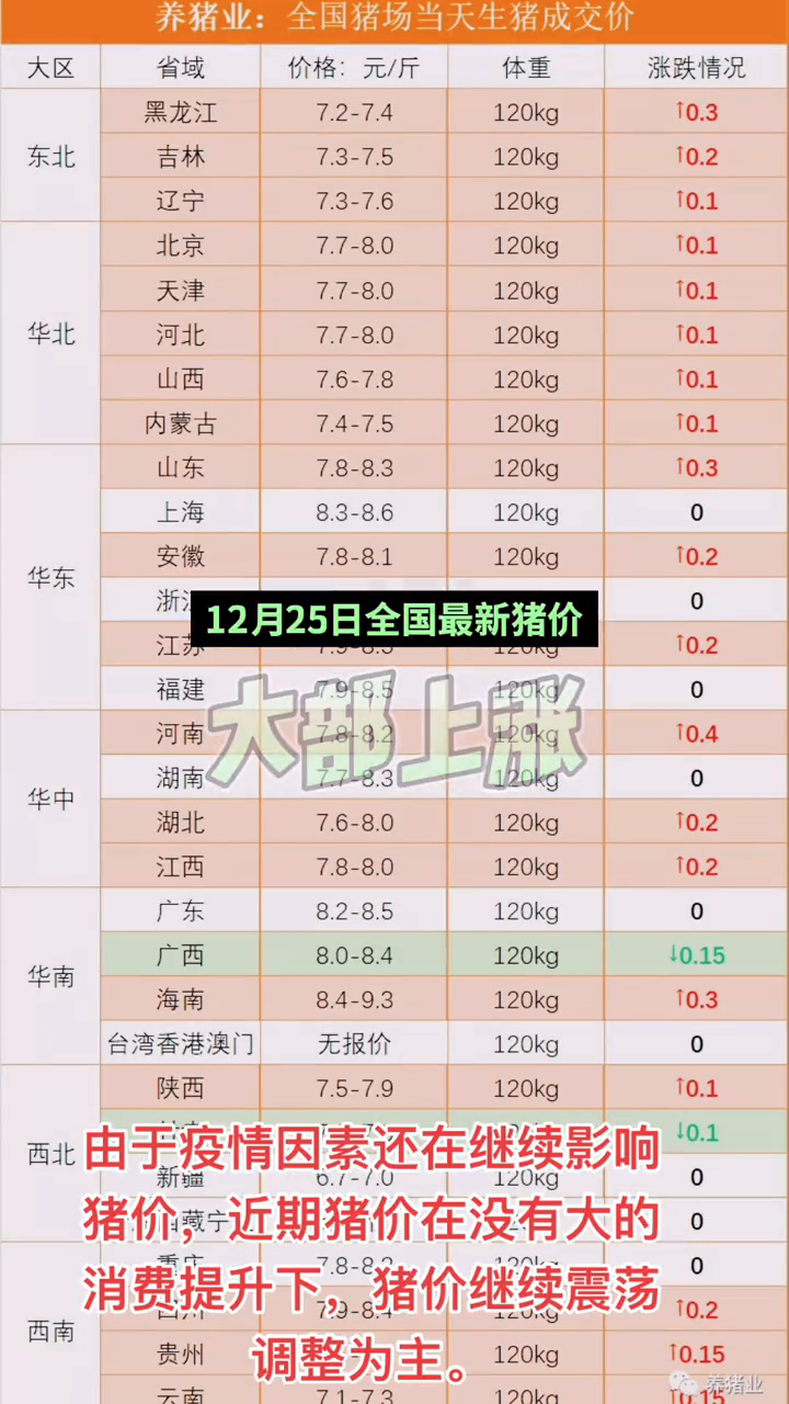 全國(guó)最新豬價(jià)行情分析與預(yù)測(cè)明日走勢(shì)報(bào)告