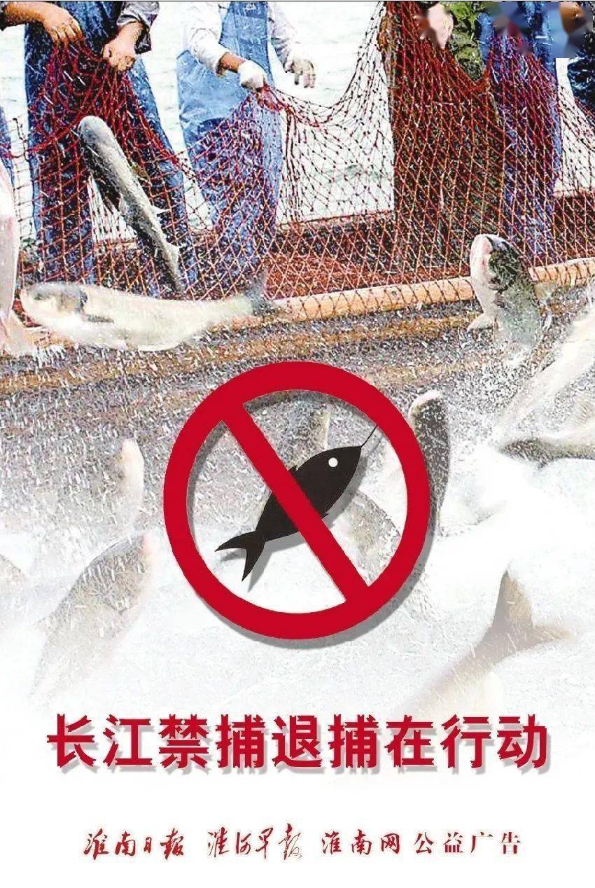 漢江非法捕魚現(xiàn)狀更新，生態(tài)安全守護(hù)面臨嚴(yán)峻挑戰(zhàn)