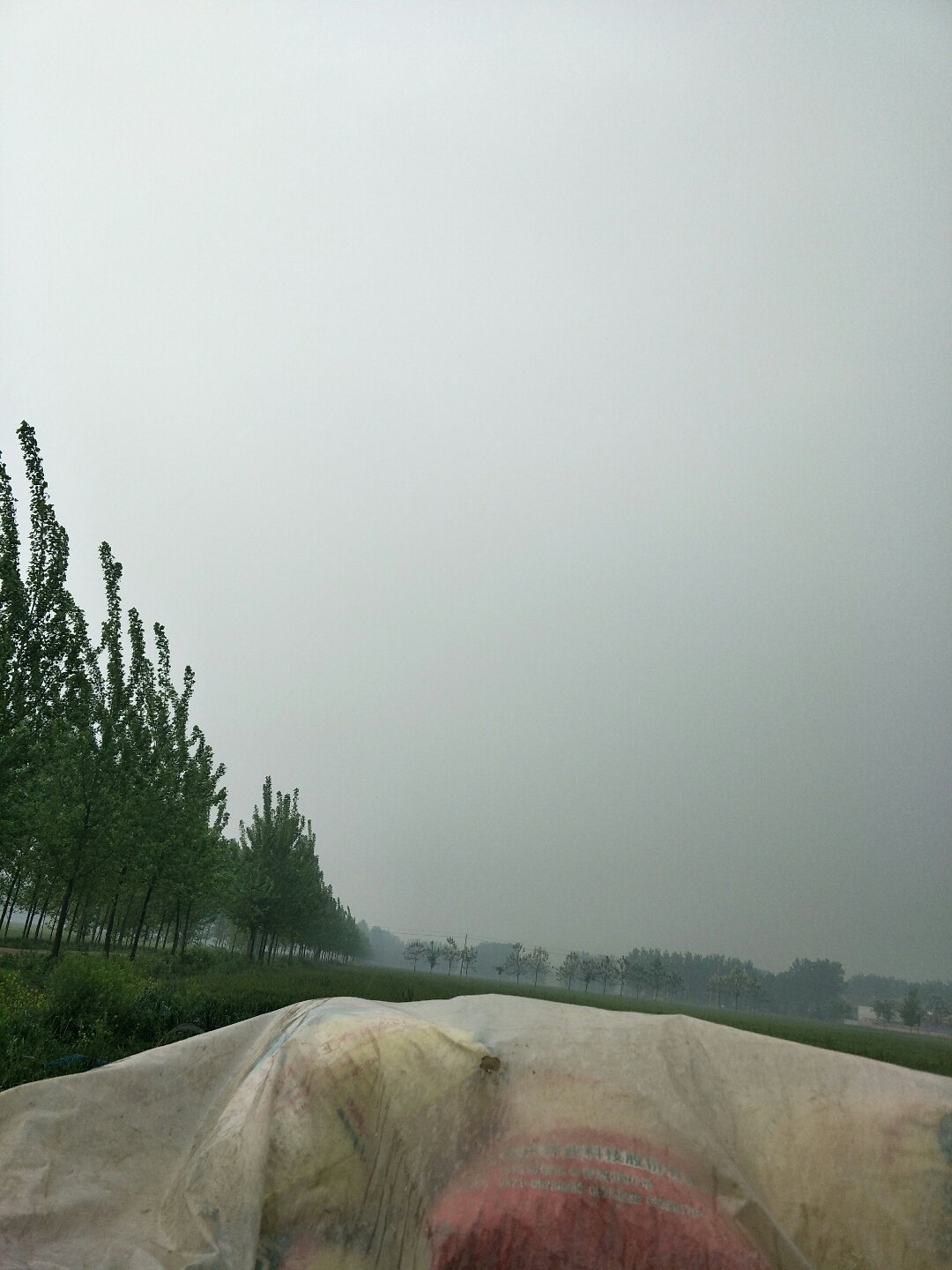 商水縣最新天氣預(yù)報(bào)詳解