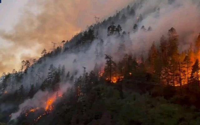 西藏林芝火災(zāi)，最新消息、救援進(jìn)展與影響分析