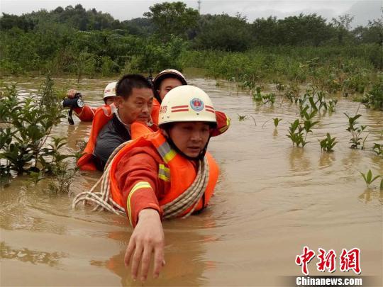 湖北咸寧洪水最新動(dòng)態(tài)，眾志成城，共克時(shí)艱