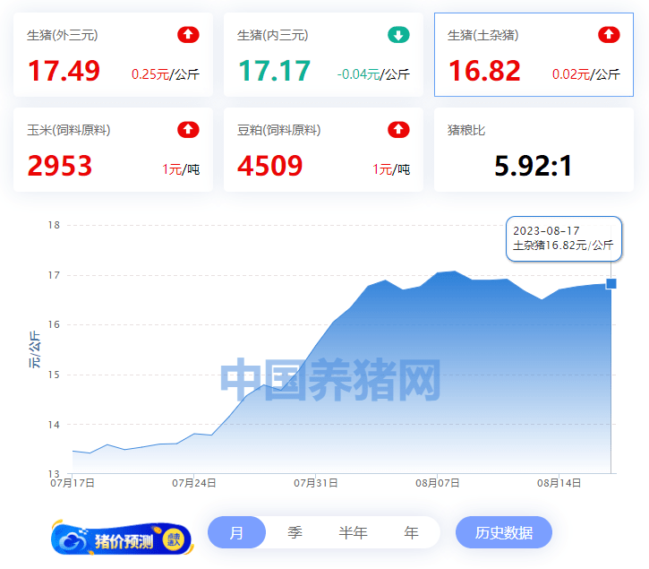 最新豬價預(yù)測，下半年走勢分析展望