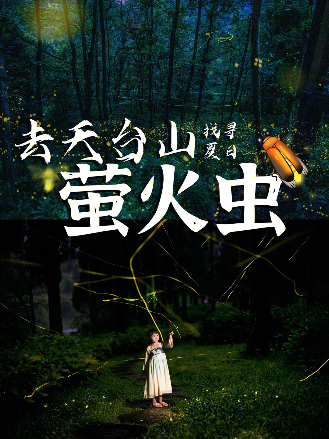 天台山萤火虫最新观察与研究报告揭秘神秘生态之美