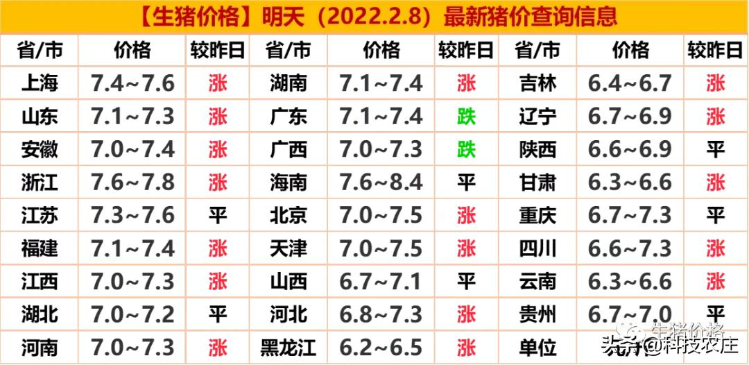今日豬價上漲最新信息及影響分析