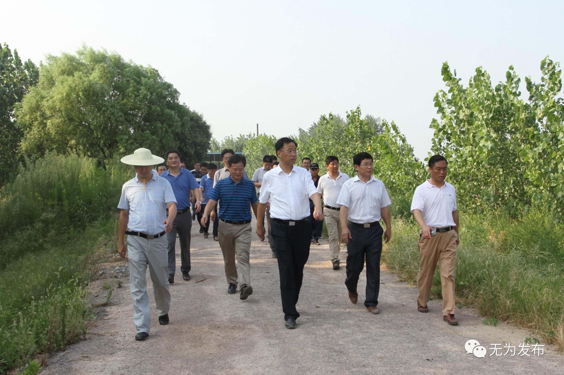 安徽無為長江最新動(dòng)態(tài)，持續(xù)監(jiān)測(cè)與積極應(yīng)對(duì)