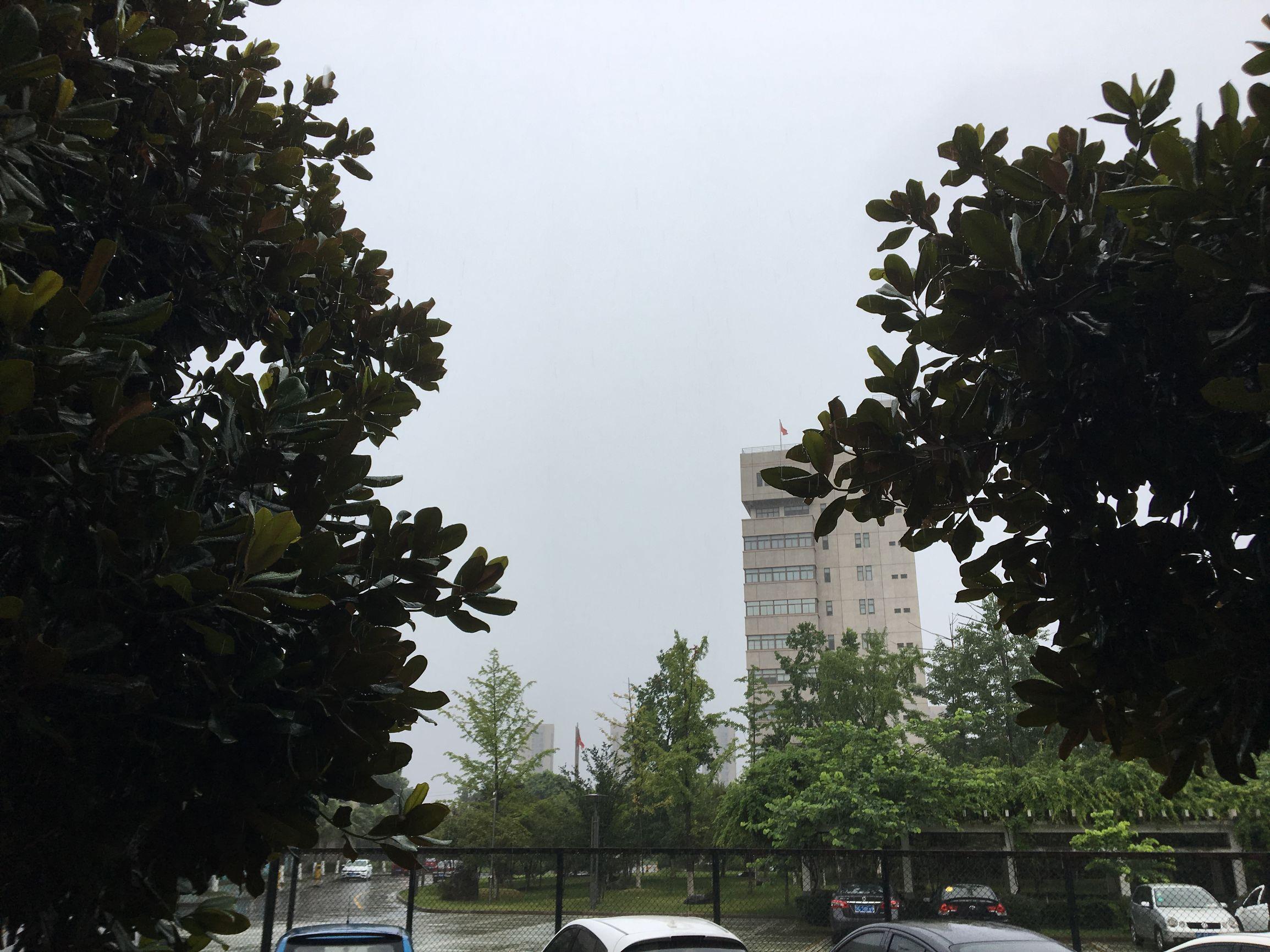 納沙臺風最新動態(tài)，全方位應對措施保障安全