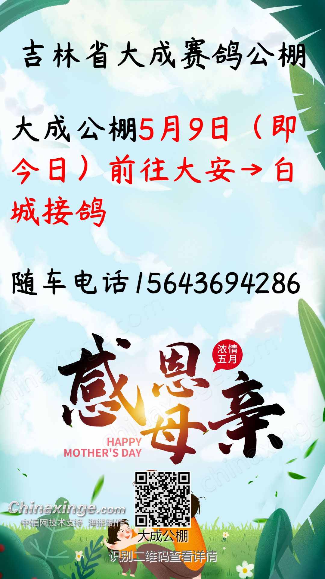 大成賽鴿公棚最新動(dòng)態(tài)引領(lǐng)賽鴿運(yùn)動(dòng)邁入新時(shí)代