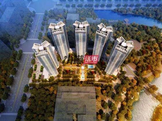 金輝集團最新消息全面解讀與分析