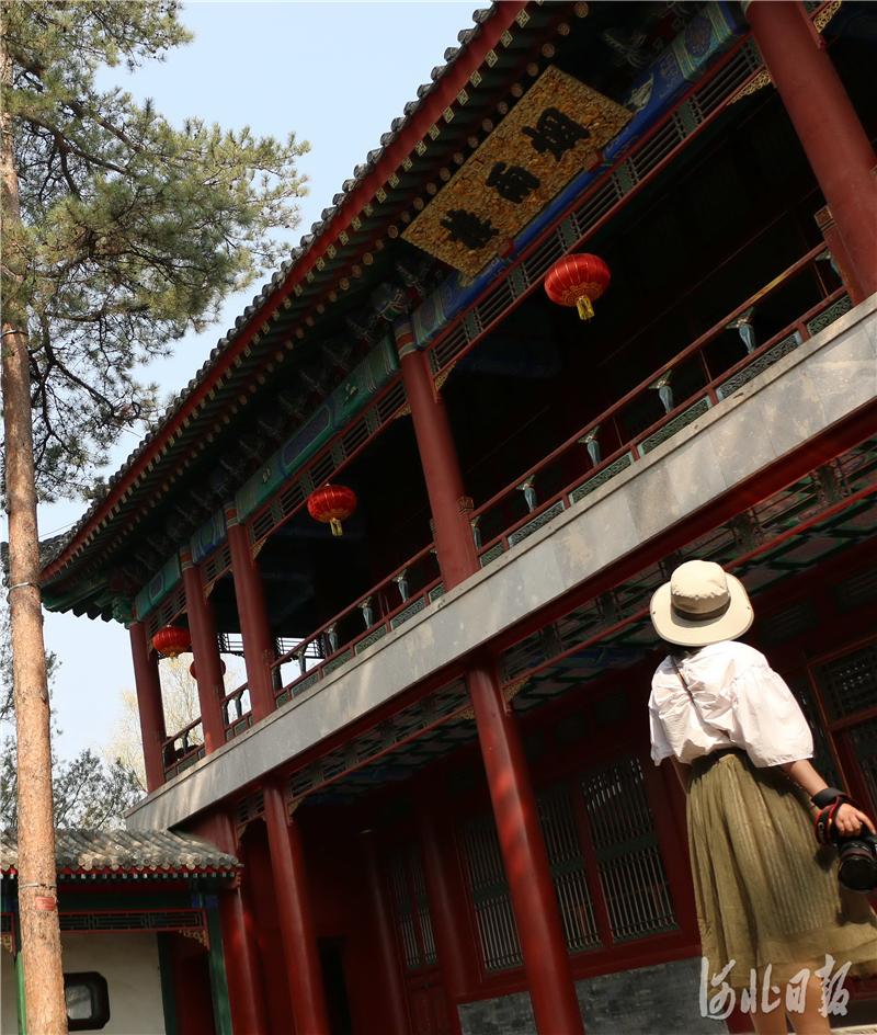 承德疫情最新動態(tài)，防控形勢與應(yīng)對策略