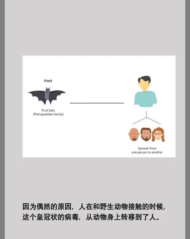 蘇州市新型肺炎最新動(dòng)態(tài)更新