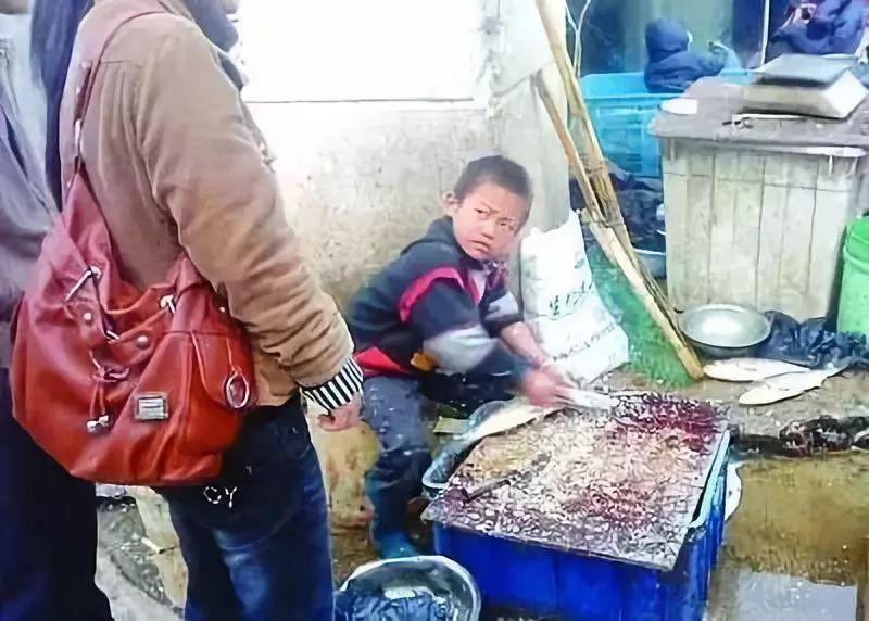 賣魚弟最新動態(tài)，奮斗之路續(xù)寫，成長故事再續(xù)新篇章