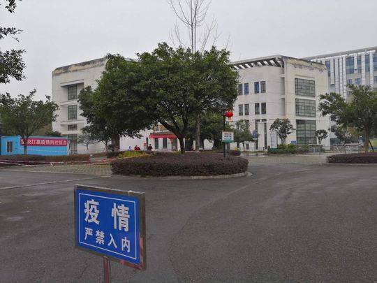 成都新冠肺炎最新消息全面解析與動態(tài)更新