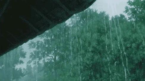 東北臺(tái)風(fēng)最新動(dòng)態(tài)及其對(duì)農(nóng)業(yè)的影響分析
