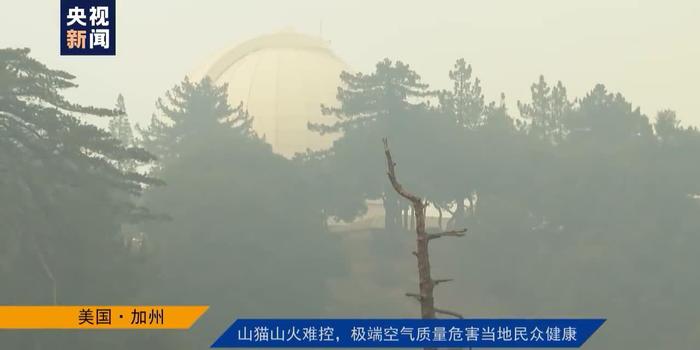 美國山貓火最新動態(tài)，發(fā)展歷程揭秘與未來展望