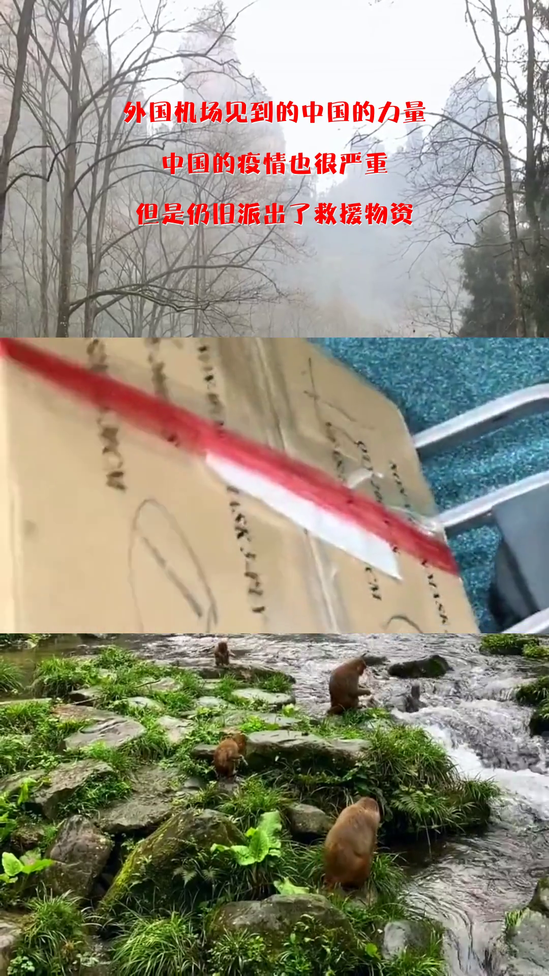 中國疫情嚴(yán)峻，全面應(yīng)對(duì)，堅(jiān)定信心迎挑戰(zhàn)